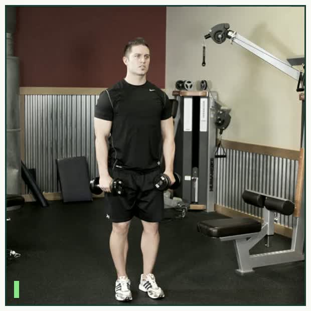 Alternating Deltoid Raise demonstration