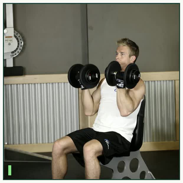 Arnold Dumbbell Press demonstration