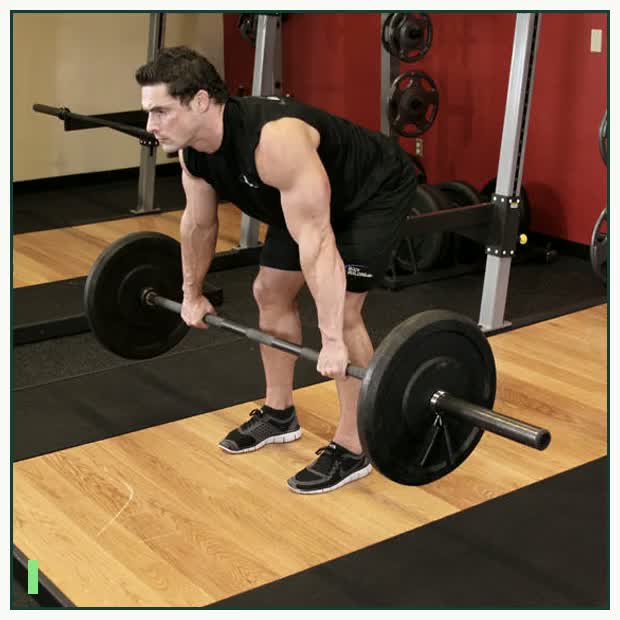 Barbell Rear Delt Row demonstration