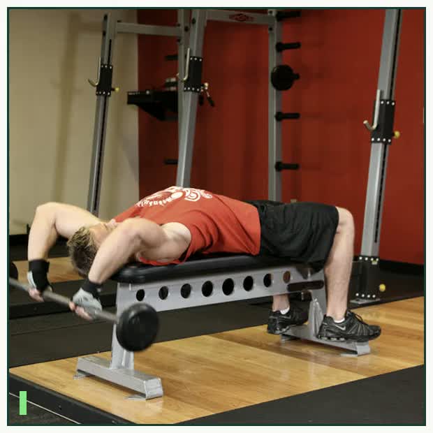 Bent-Arm Barbell Pullover demonstration