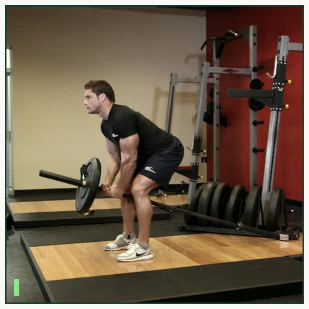 Bent Over Two-Arm Long Bar Row demonstration