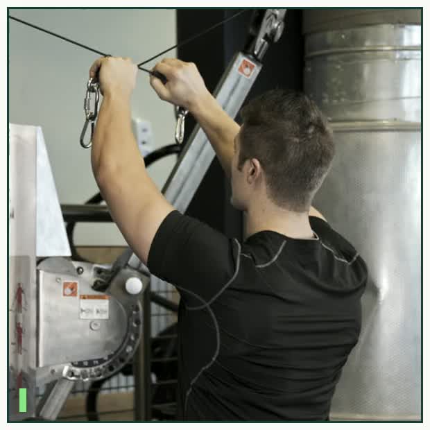 Cable Rear Delt Fly demonstration
