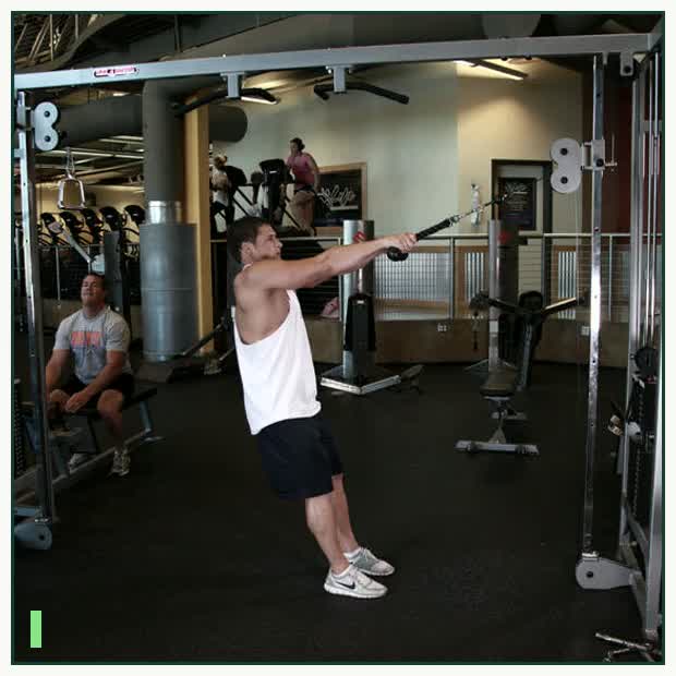 Cable Rope Rear-Delt Rows demonstration