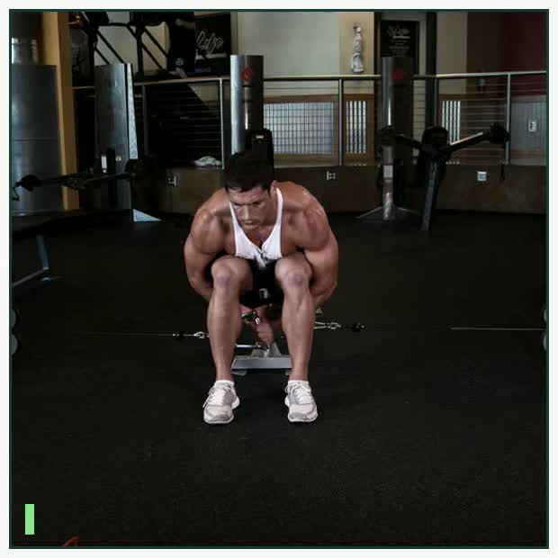 Cable Seated Lateral Raise demonstration