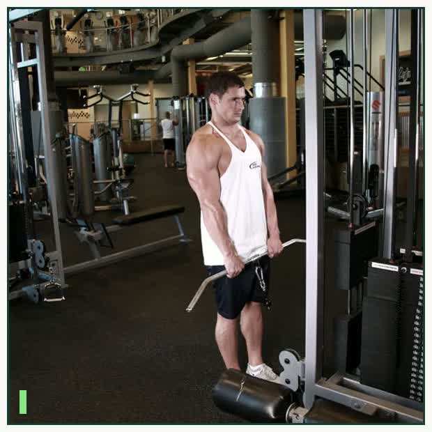 Cable Shrugs demonstration