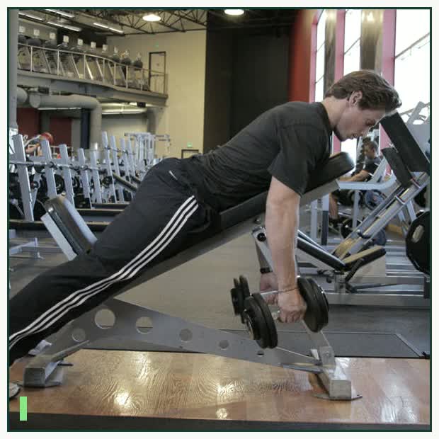 Dumbbell Incline Row demonstration