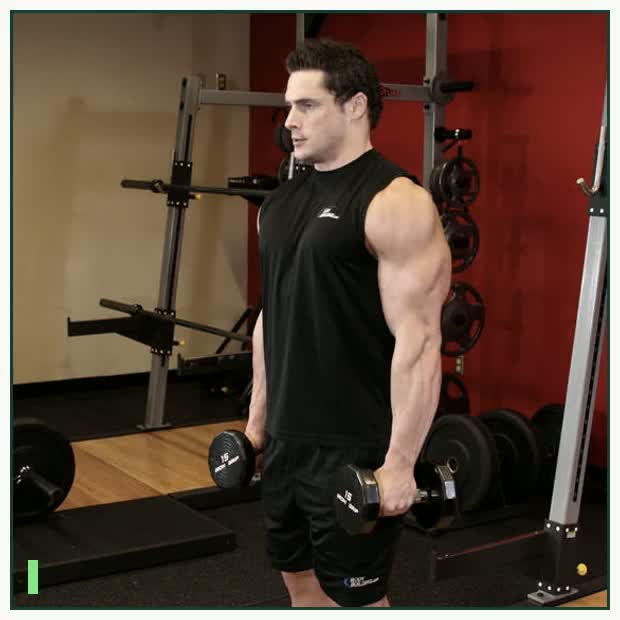 Dumbbell Raise demonstration