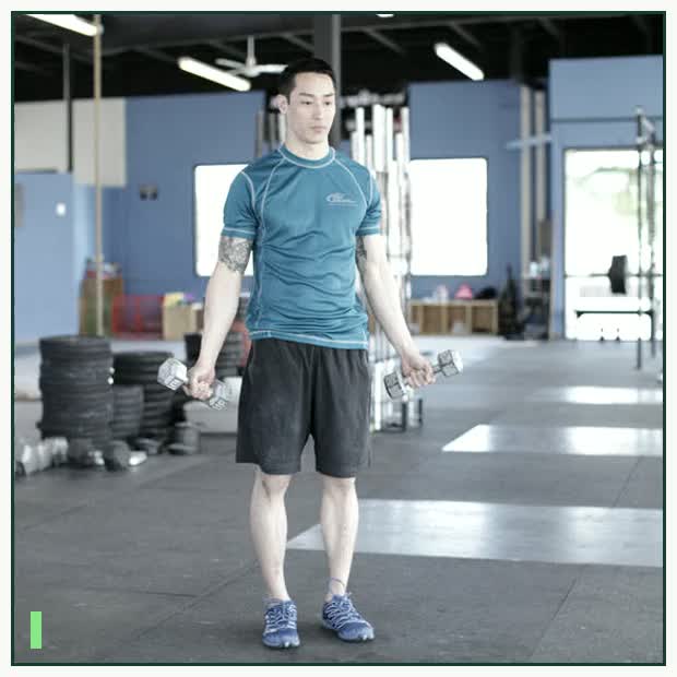 Dumbbell Scaption demonstration
