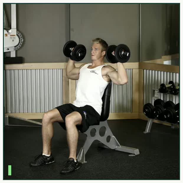 Dumbbell Shoulder Press demonstration