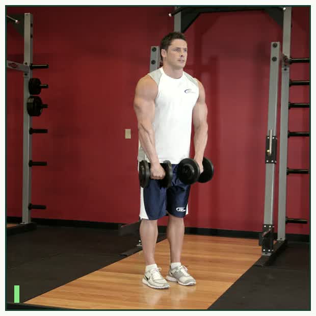 Front Dumbbell Raise demonstration
