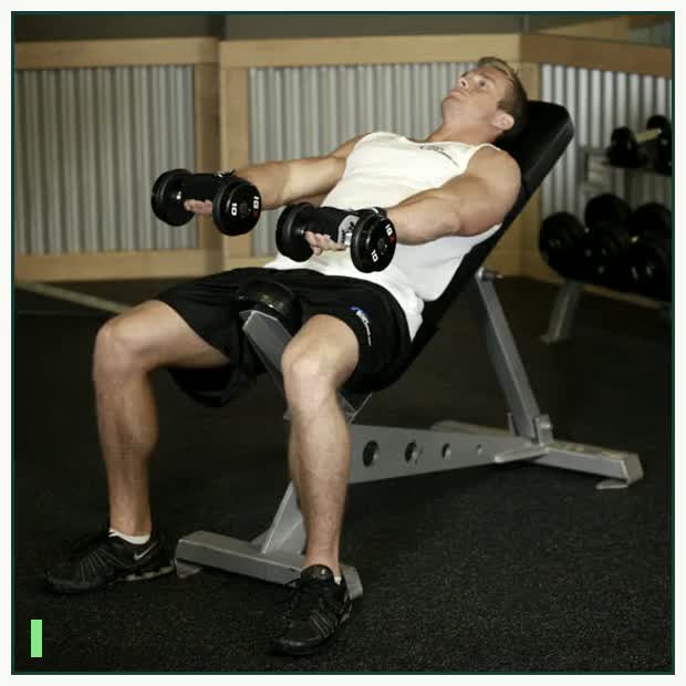 Front Incline Dumbbell Raise demonstration
