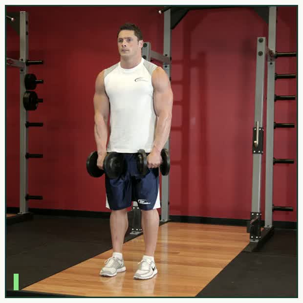 Front Two-Dumbbell Raise demonstration
