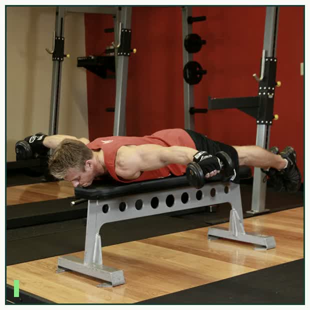 Lying Rear Delt Raise demonstration