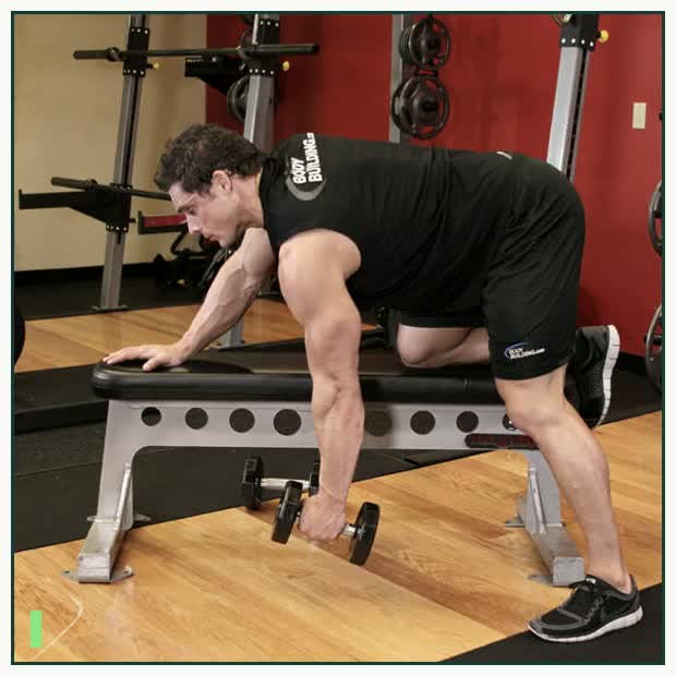 One-Arm Dumbbell Row demonstration