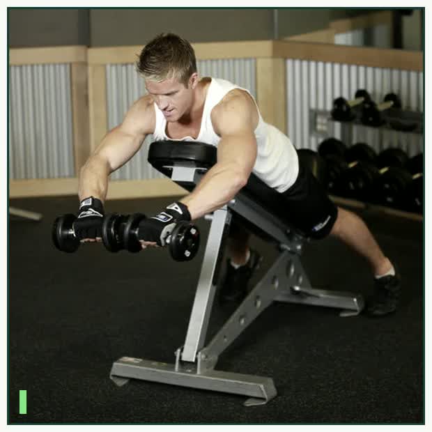 Reverse Flyes With External Rotation demonstration