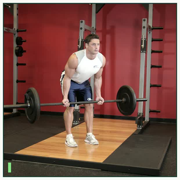 Reverse Grip Bent-Over Rows demonstration