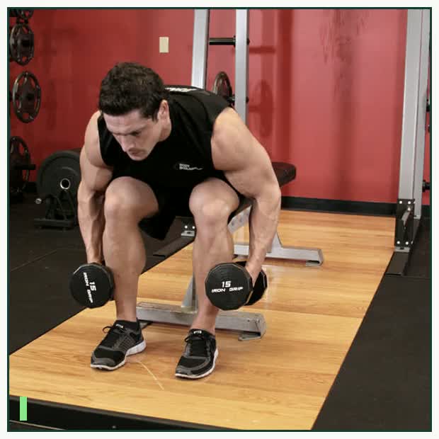 Seated Bent-Over Rear Delt Raise demonstration
