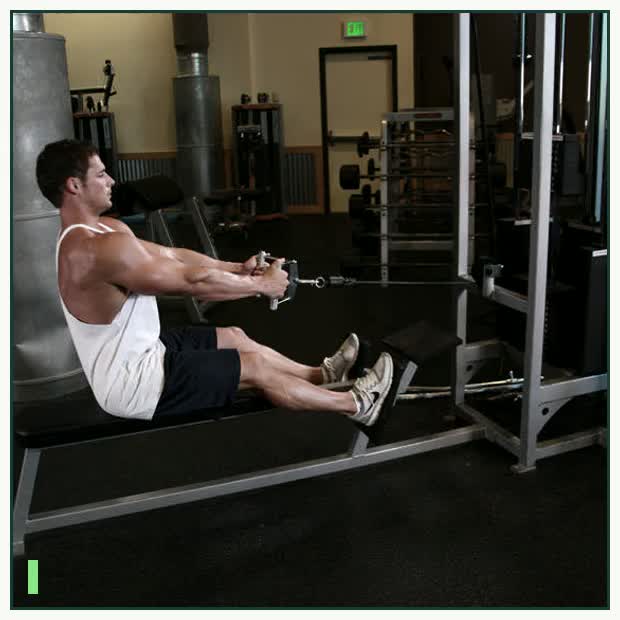 Seated Cable Rows demonstration