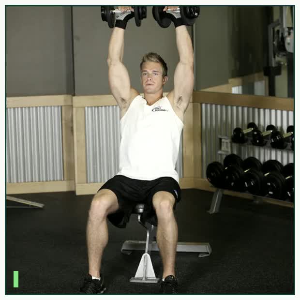Seated Dumbbell Press demonstration