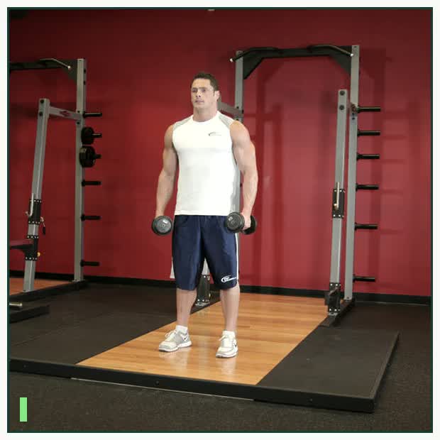 Side Lateral Raise demonstration