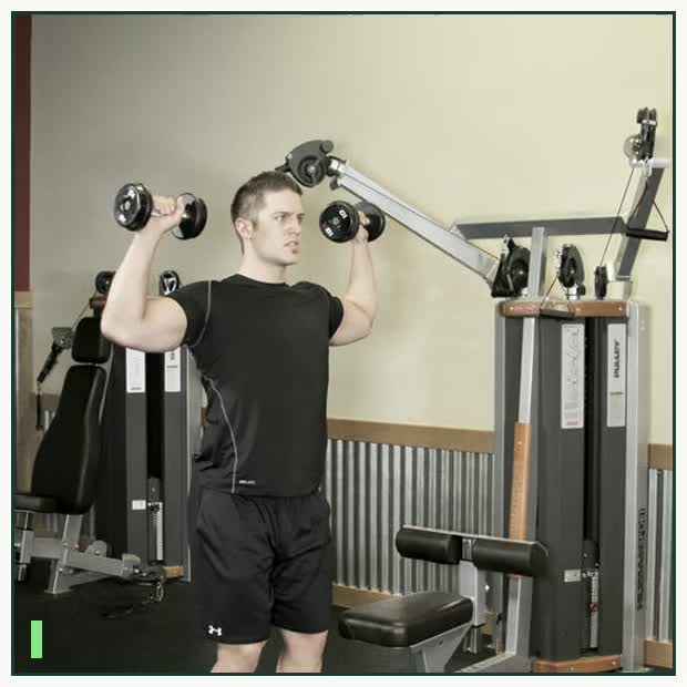 Standing Dumbbell Press demonstration