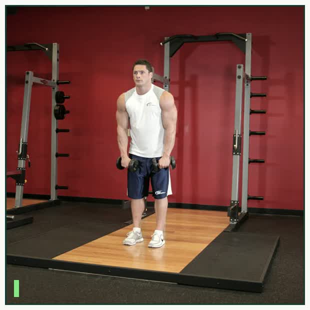 Standing Dumbbell Straight-Arm Front Delt Raise Above Head demonstration