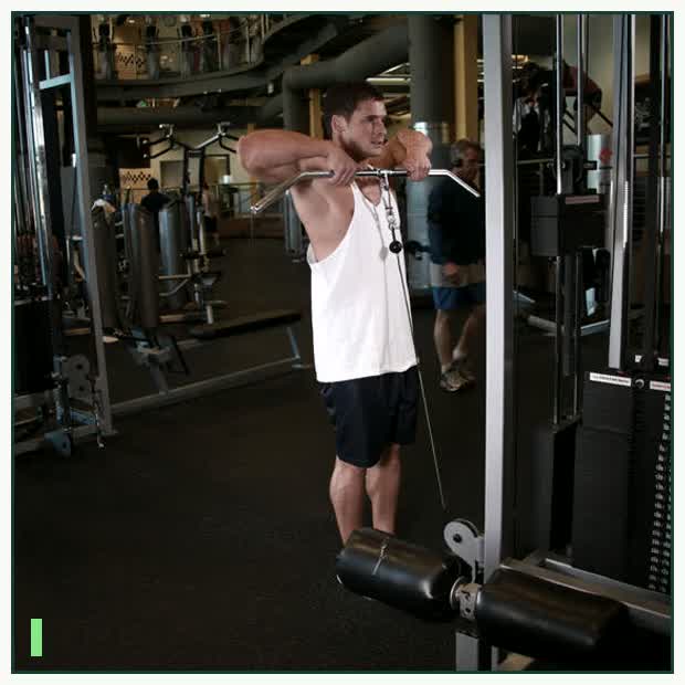 Upright Cable Row demonstration